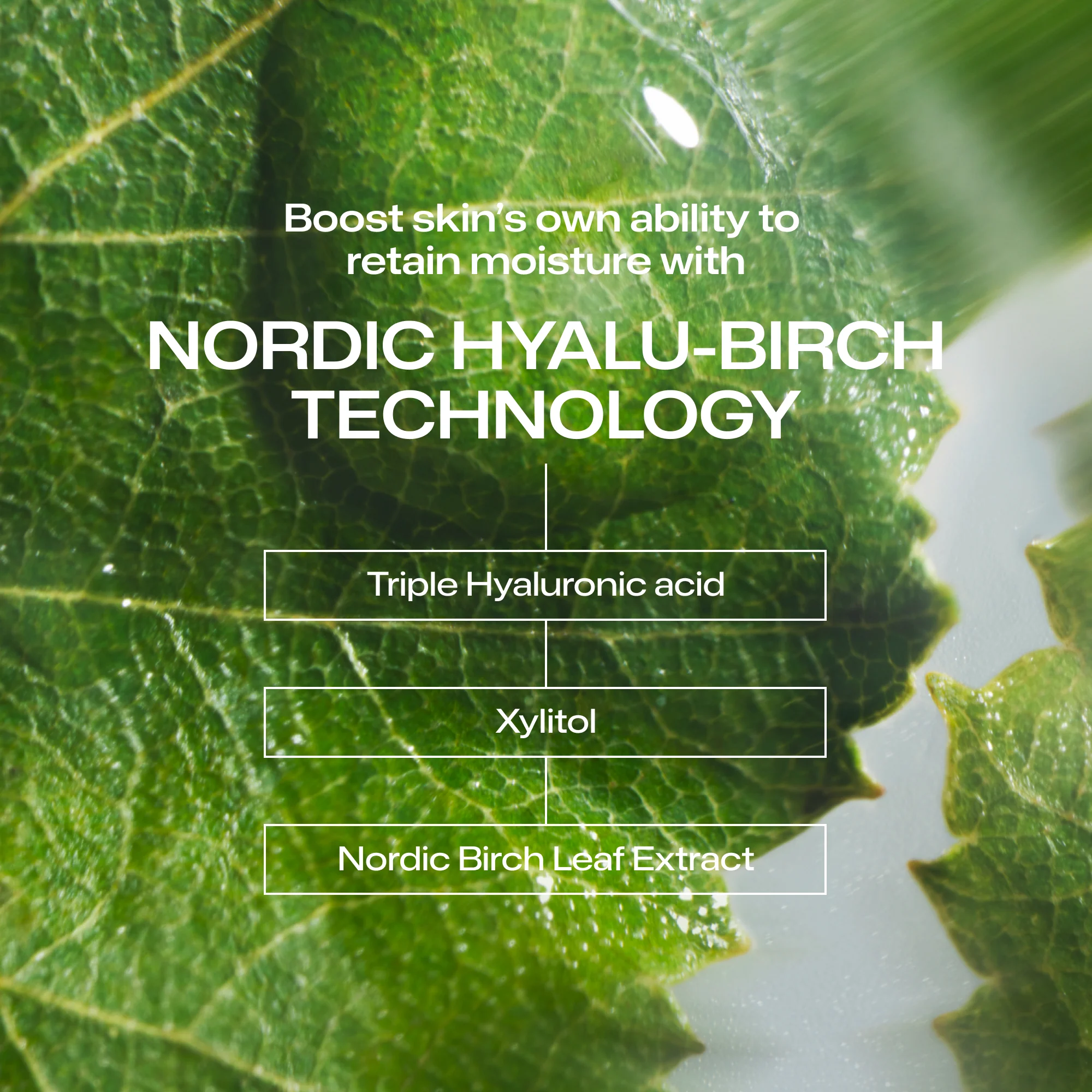 Intense Hydration Moisturizer - Image 5